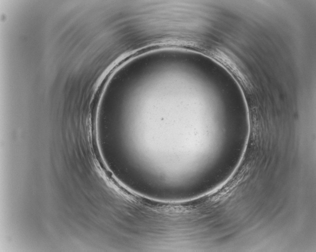 X0000060261092200511010906