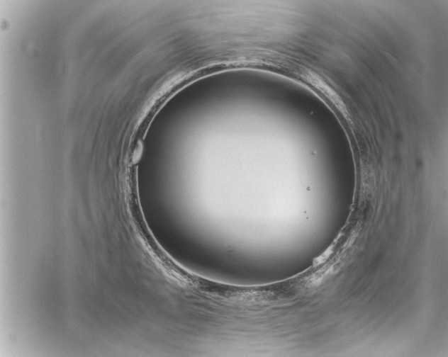 X0000060261093200511010906