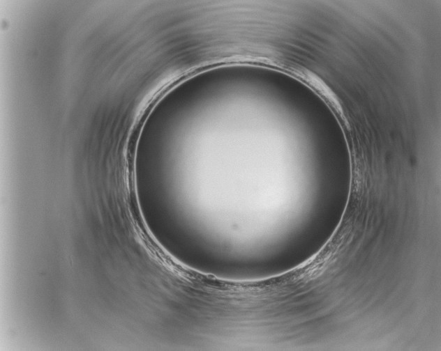 X0000060261096200511010906