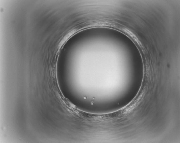 X0000060261097200511010906