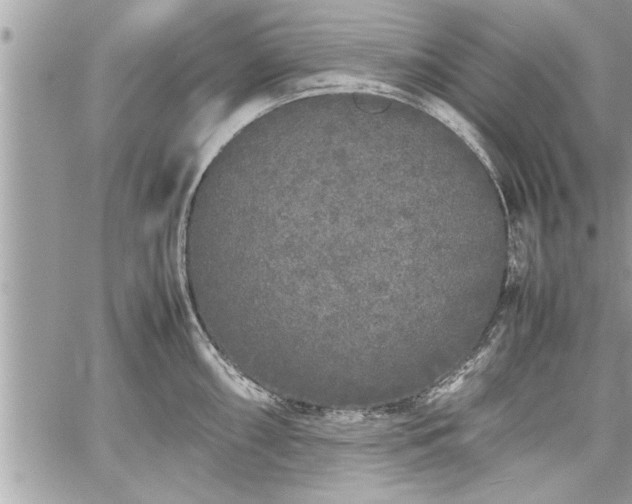 X0000060261098200511010906