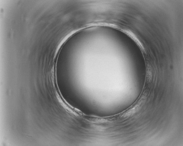 X0000060261100200511010906