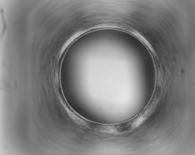 X0000060261101200511010906