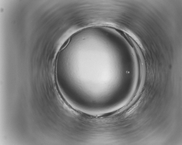 X0000060261102200511010906