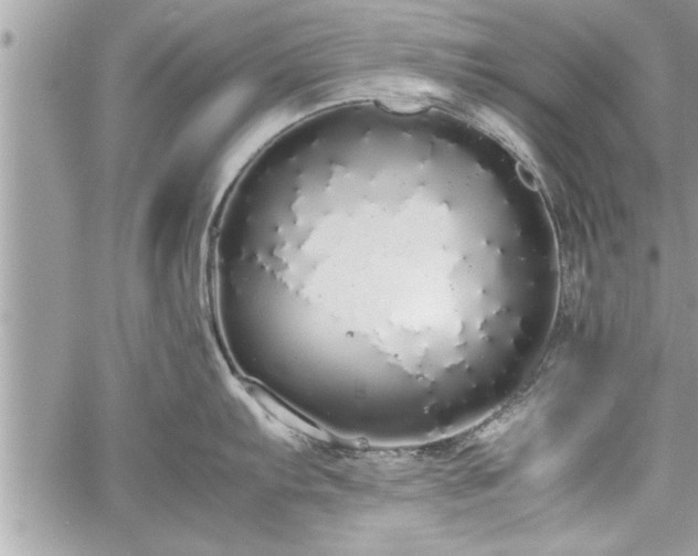 X0000060261103200511010906