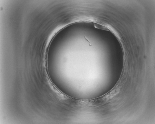 X0000060261104200511010906