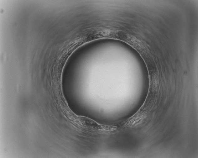 X0000060261105200511010905