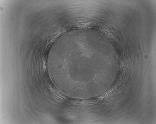 X0000060261106200511010905