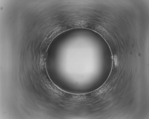 X0000060261107200511010905