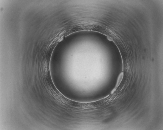 X0000060261108200511010906