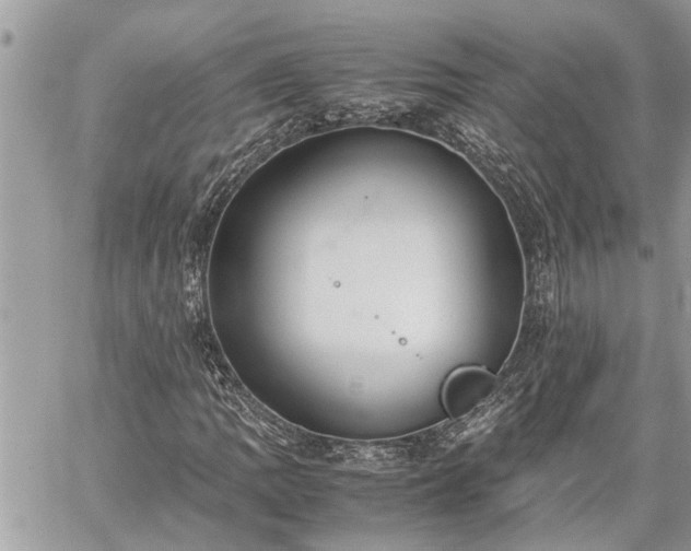 X0000060261109200511010906