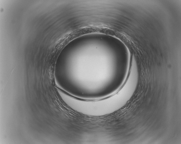 X0000060261110200511010906