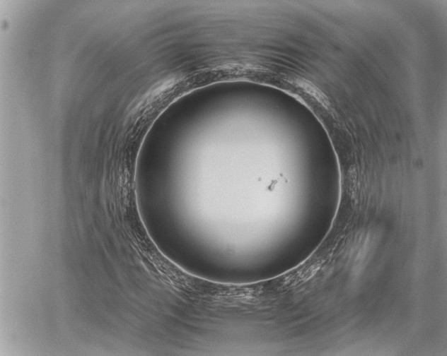 X0000060261111200511010906