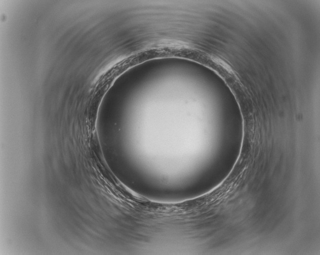 X0000060261112200511010906