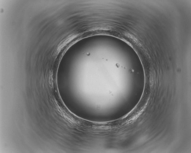 X0000060261113200511010906