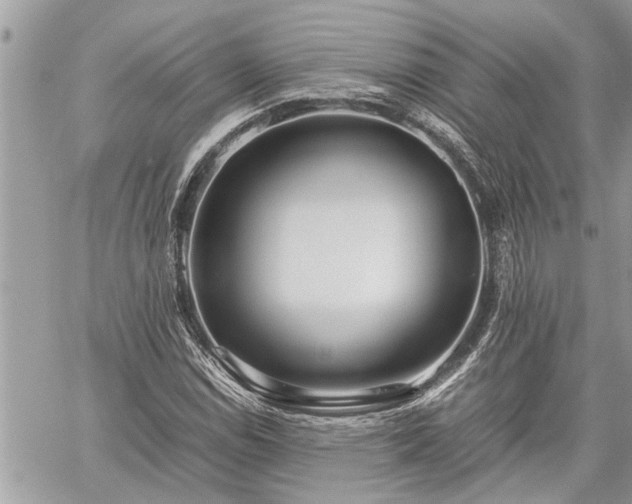 X0000060261114200511010906