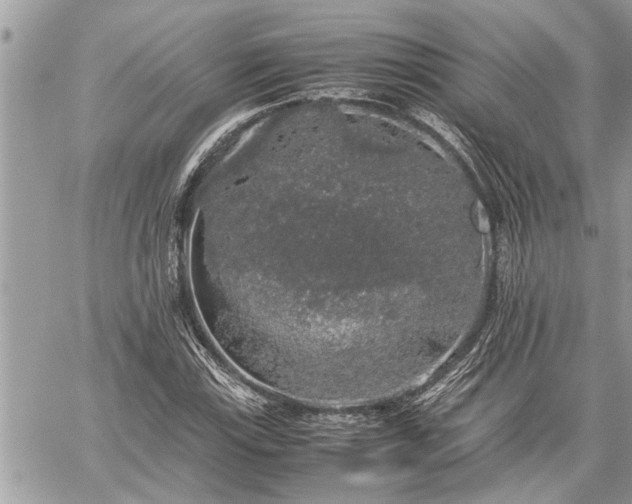 X0000060261115200511010906