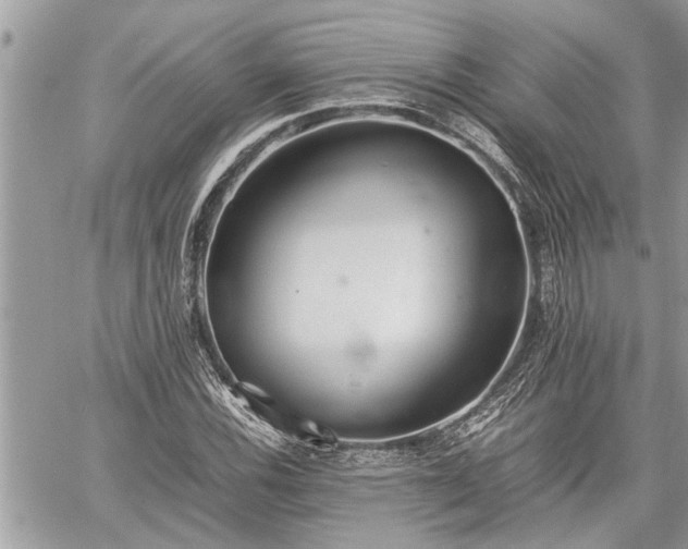 X0000060261116200511010906