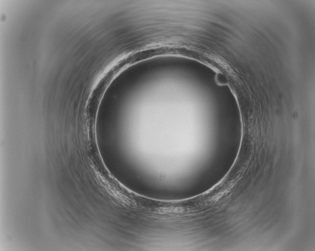 X0000060261118200511010906