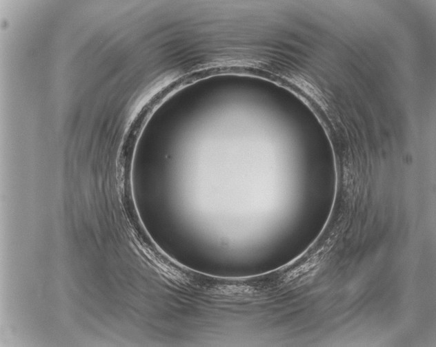 X0000060261119200511010906