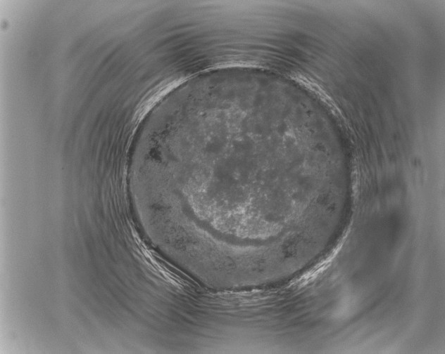 X0000060261121200511010906