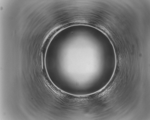 X0000060261123200511010906