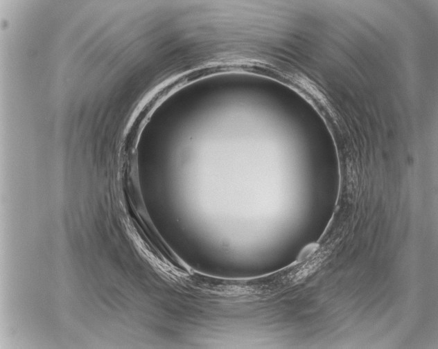 X0000060261124200511010906