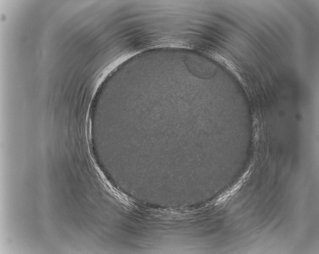 X0000060261125200511010906