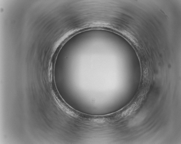 X0000060261126200511010906