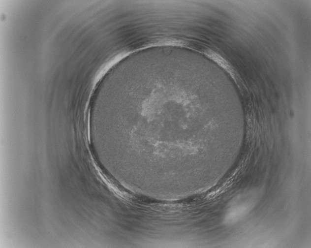 X0000060261127200511010906