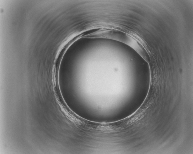 X0000060261128200511010906