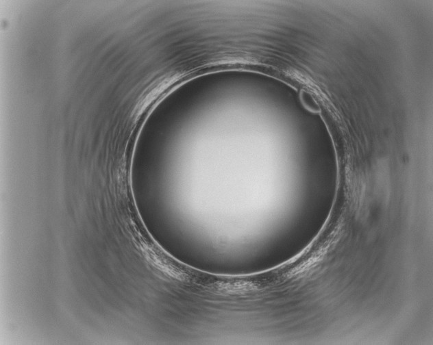 X0000060261129200511010906