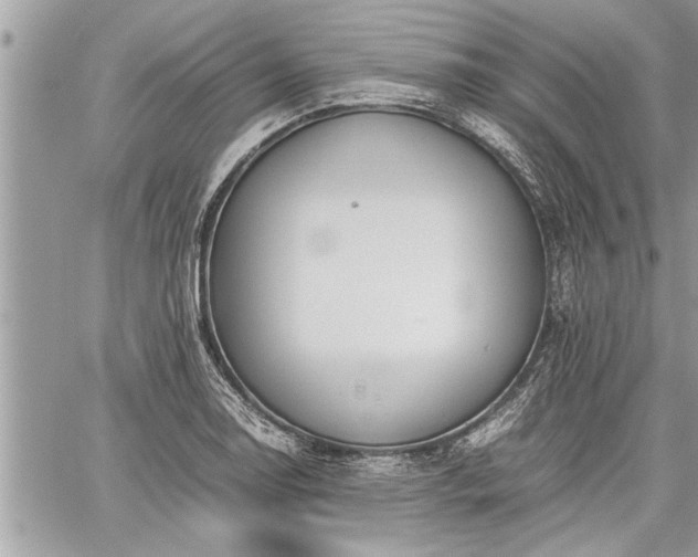 X0000060261130200511010906