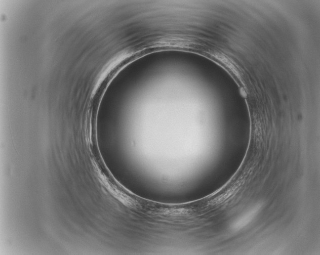 X0000060261131200511010906