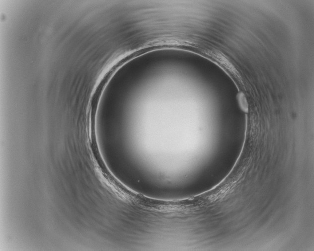 X0000060261132200511010906