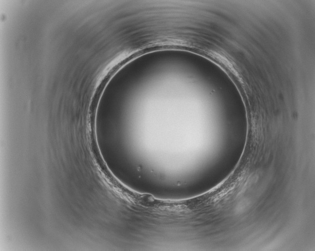 X0000060261133200511010906