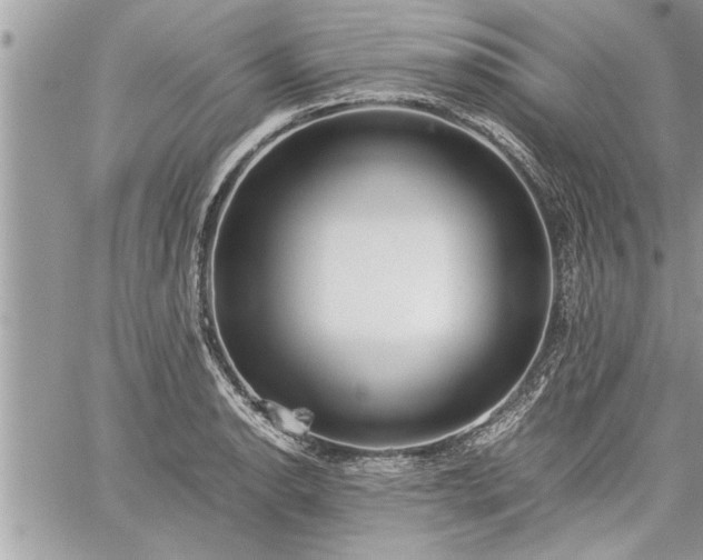 X0000060261134200511010906