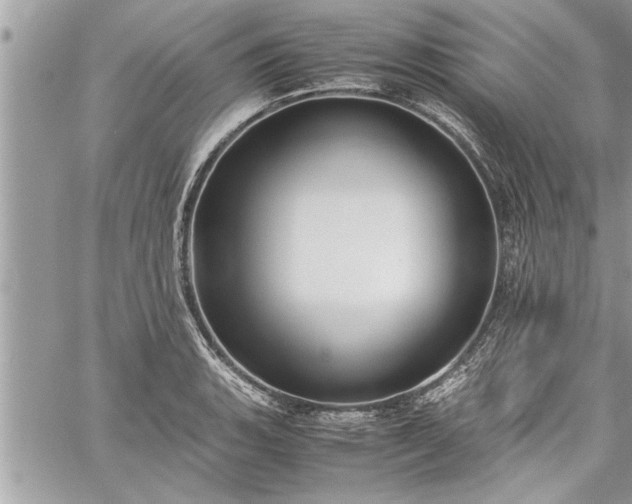 X0000060261135200511010906