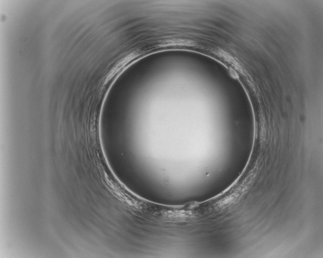 X0000060261137200511010906