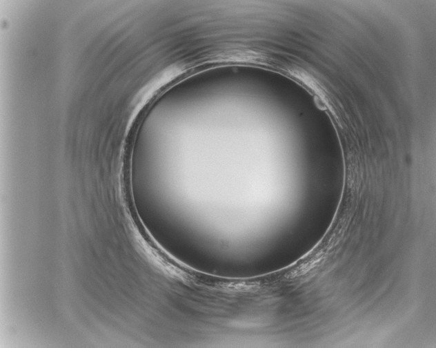 X0000060261139200511010906