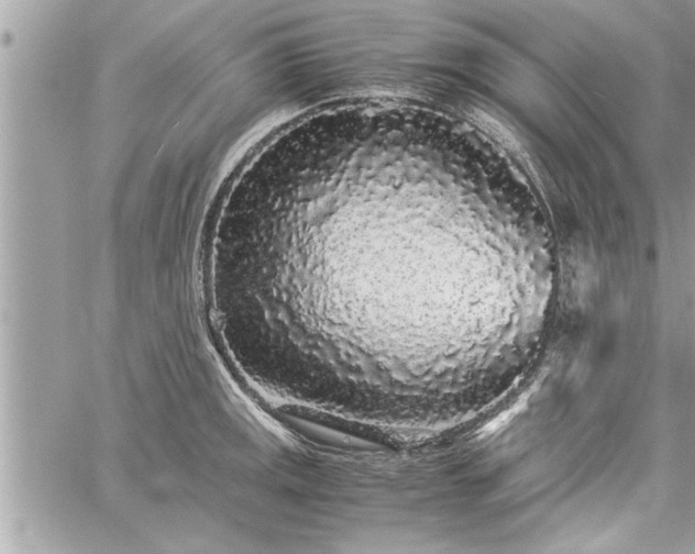 X0000060261141200511010906