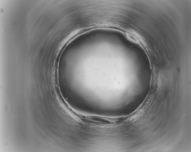 X0000060261142200511010906