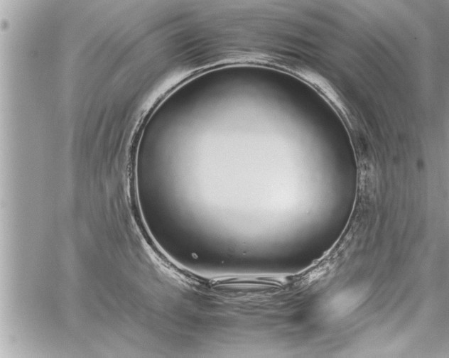 X0000060261143200511010906