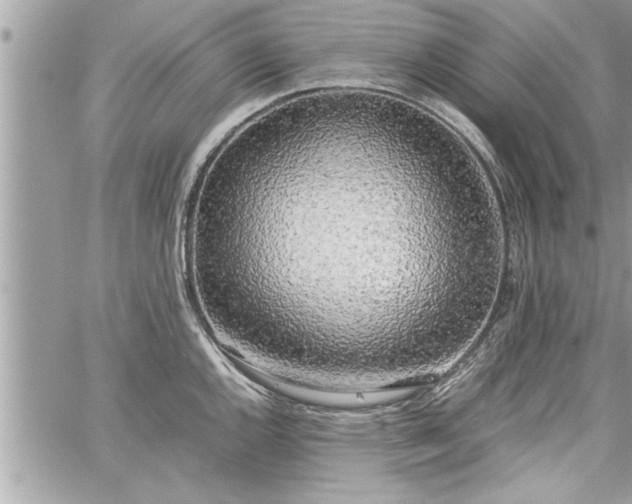 X0000060261144200511010906