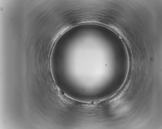 X0000060261145200511010906