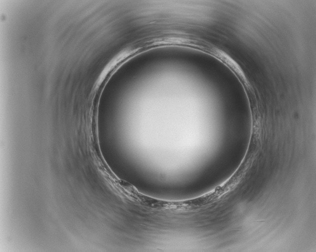 X0000060261146200511010906