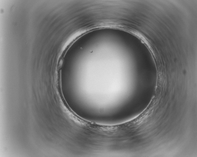 X0000060261147200511010906