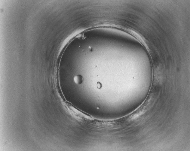 X0000060261149200511010906