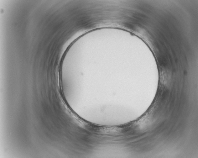 X0000060261150200511010906