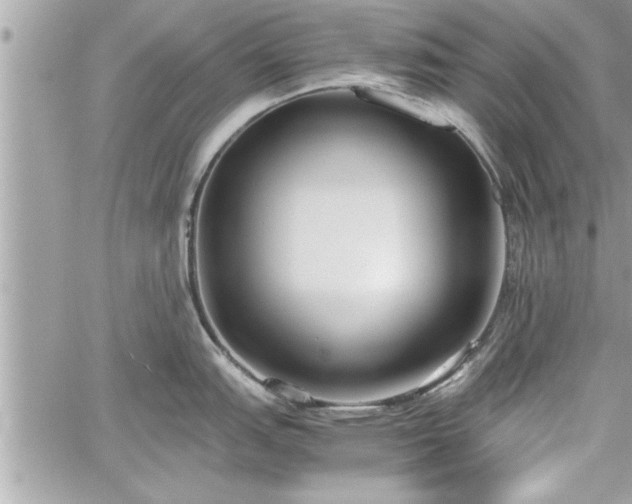 X0000060261151200511010906